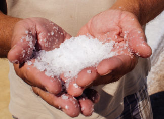 Ocean Salt von Lush