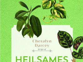 „Welche Zimmerpflanzen uns Kraft geben und wie wir sie richtig pflegen“ – Annotation zum Sachbuch „Heilsames Grün“ von Cheralyn Darcey