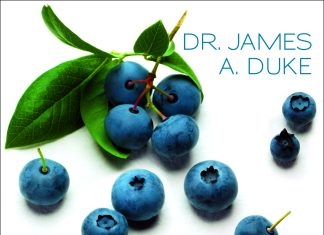 „Wie Sie Erkrankungen mit Gemüse, Kräutern und Samen weg-essen“ – Annotation zum Sachbuch „Heilende Nahrungsmittel“ von Dr. James Duke