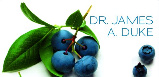 „Wie Sie Erkrankungen mit Gemüse, Kräutern und Samen weg-essen“ – Annotation zum Sachbuch „Heilende Nahrungsmittel“ von Dr. James Duke