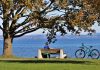 Drei Gärten, ein See und ein grenzenloses Garten-Rendezvous oder Blüten am Bodensee